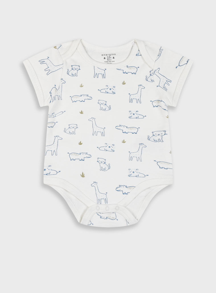 Energiers σετ 5 τεμαχίων φορμάκια | ΣΙΕΛ