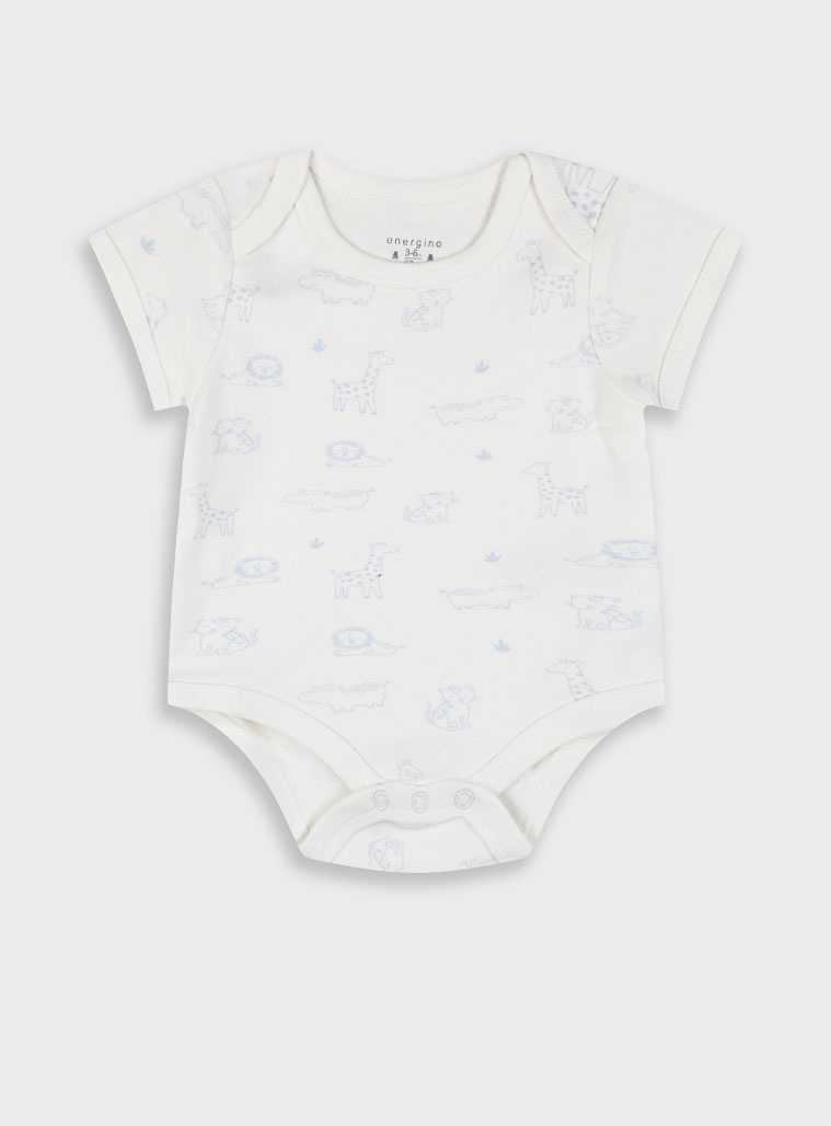 Energiers σετ 5 τεμαχίων φορμάκια | ΣΙΕΛ