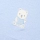 Baby blanket | SKY BLUE