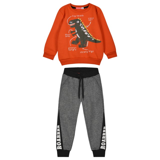 Boy΄s printed sweatshirt | CARROT