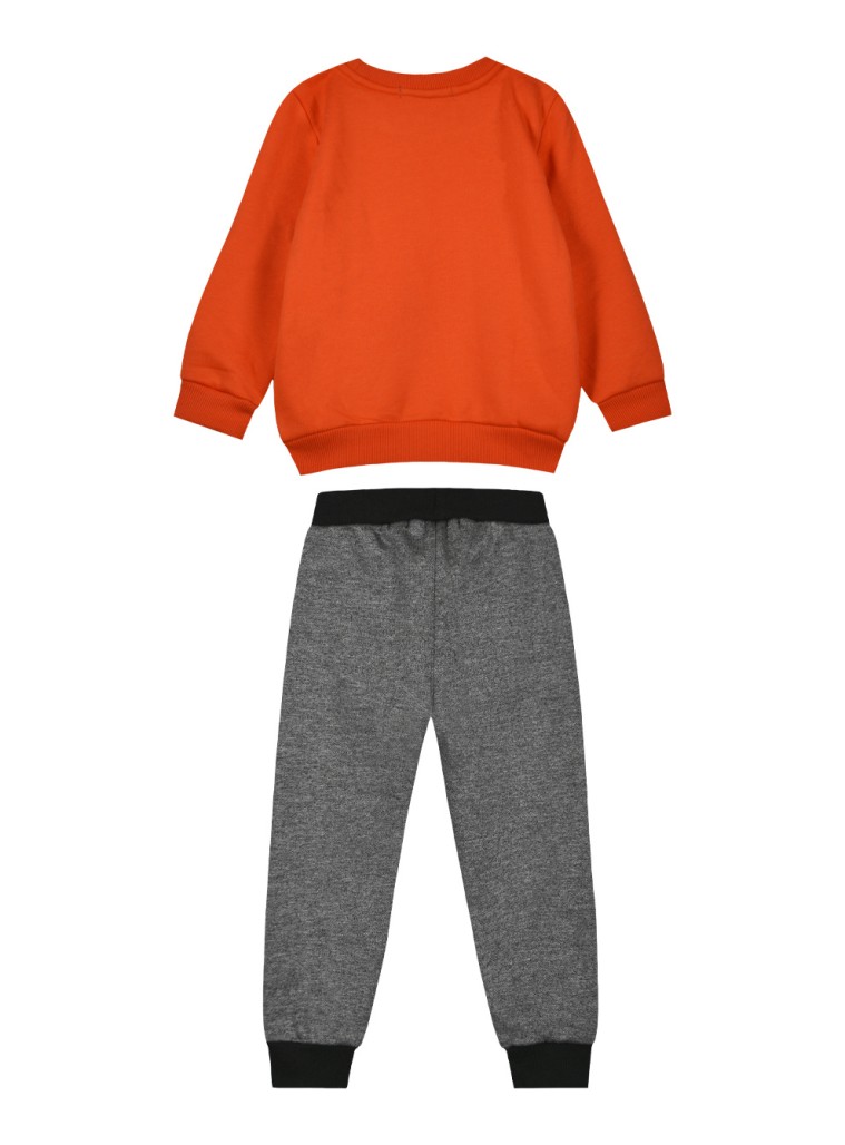 Boy΄s printed sweatshirt | CARROT