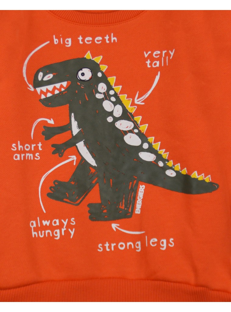 Boy΄s printed sweatshirt | CARROT
