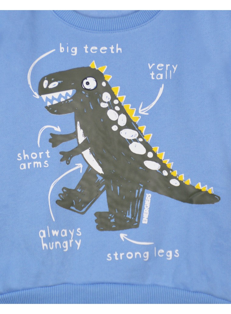 Boy΄s printed sweatshirt | LIGHT BLUE