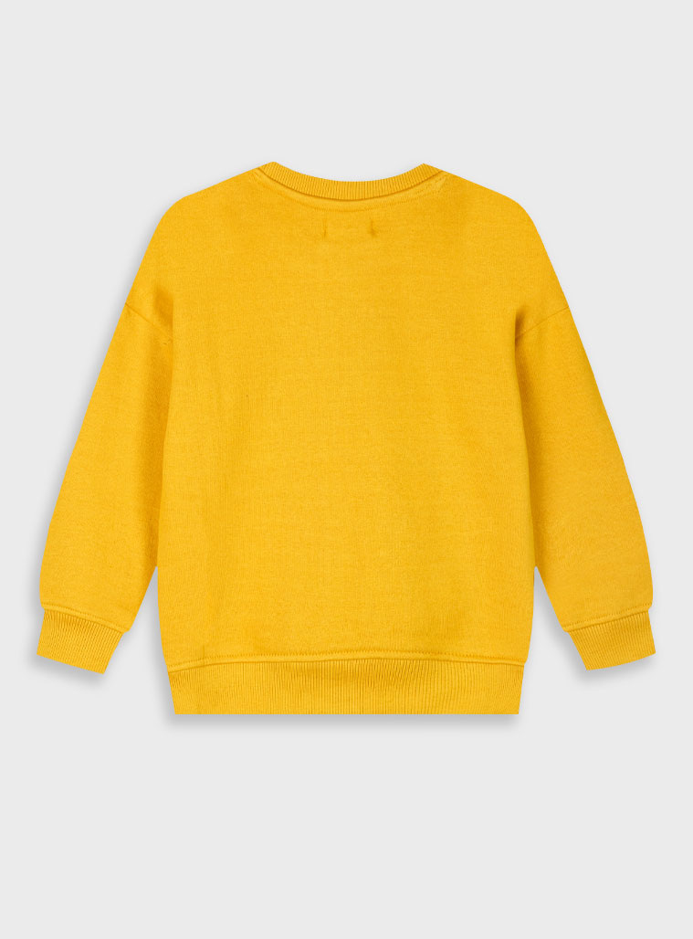 Φούτερ μπλούζα για αγόρι | ΜΟΥΣΤΑΡΔΙ Φούτερ μπλούζα για αγόρι | ΜΟΥΣΤΑΡΔΙ