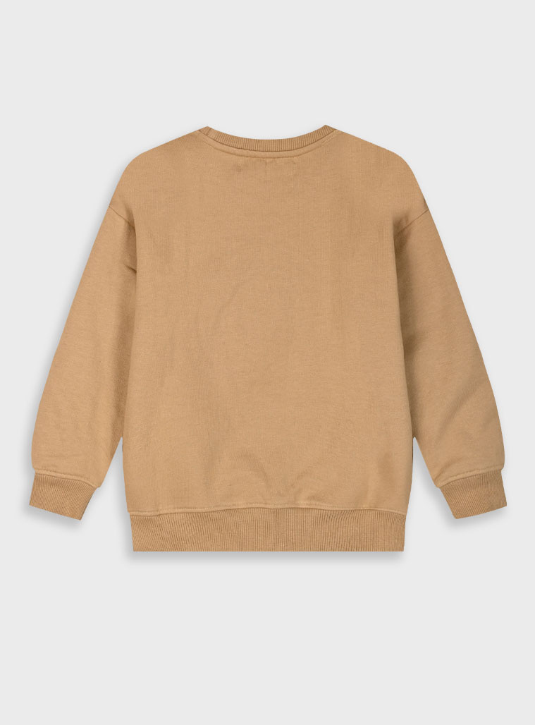 Φούτερ μπλούζα με κουκούλα για αγόρι | ΜΠΕΖ