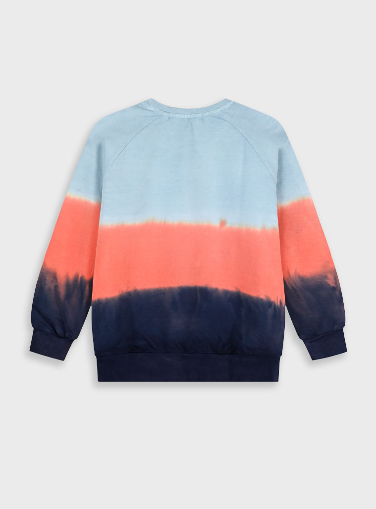 Gradient jumper for boys | INDIGO