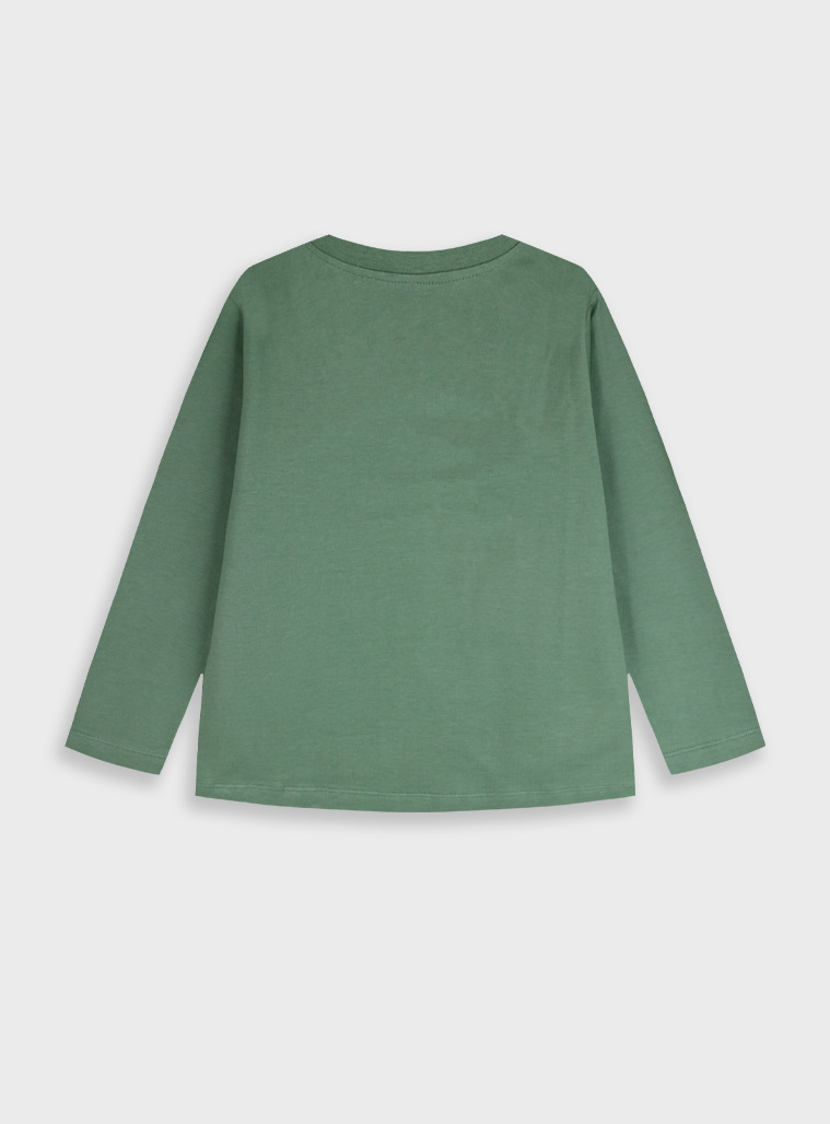 Μπλούζα | ΠΡΑΣΙΝΟ ΤΟΥ ΔΑΣΟΥΣ