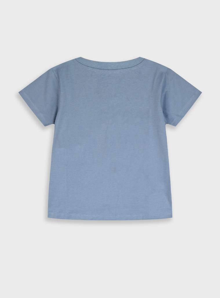 T-shirt | DUSTY CIEL