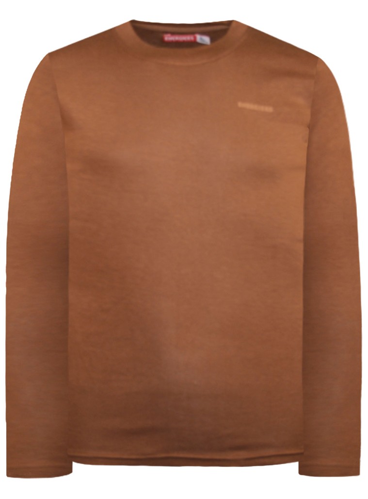Energiers Basic Line cotton shirt for boys | Marrone