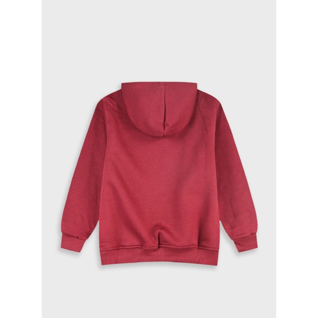 Energiers Basic Line Hooded Sweatshirt for Boys | Bordeaux