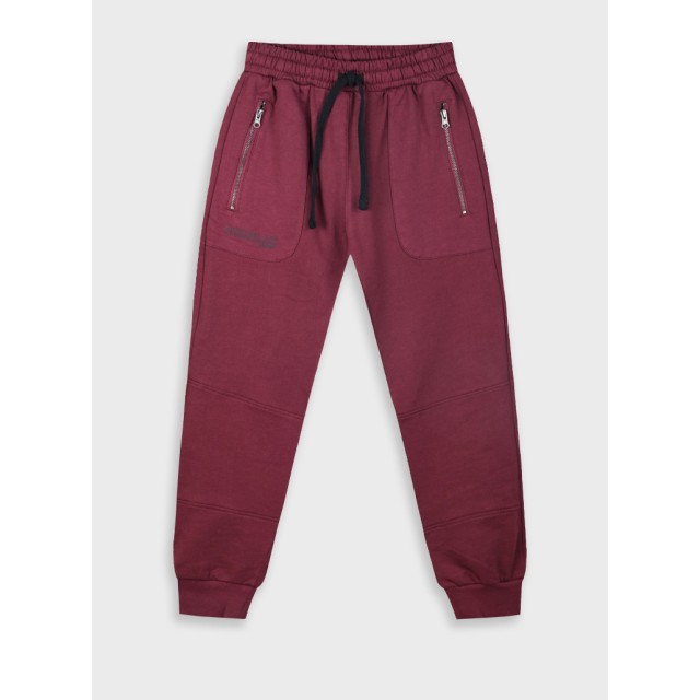 Sweatpants from unbrushed fleece with print for boys | SANGRIA