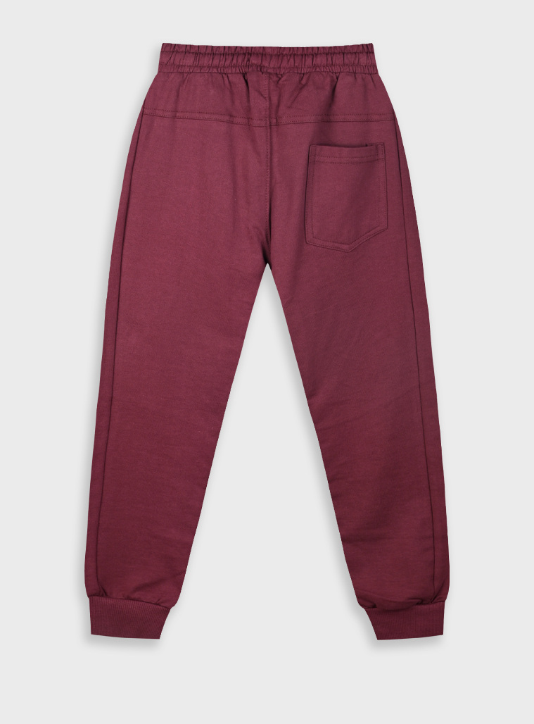 Sweatpants from unbrushed fleece with print for boys | SANGRIA