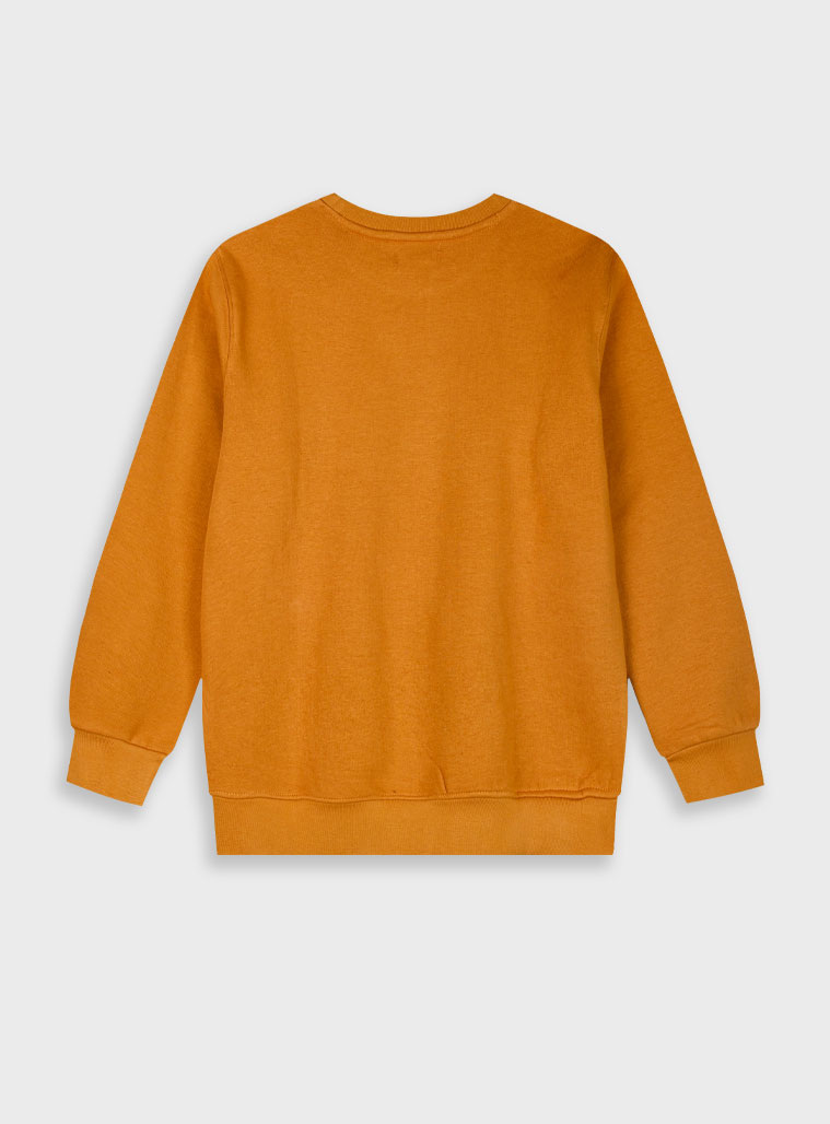 Fleece sweatshirt for boys | AMBER Fleece sweatshirt for boys | AMBER
