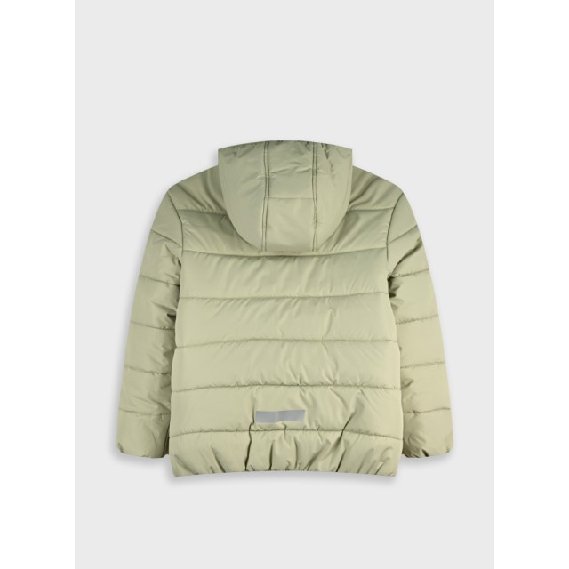 Jacket | ARENA