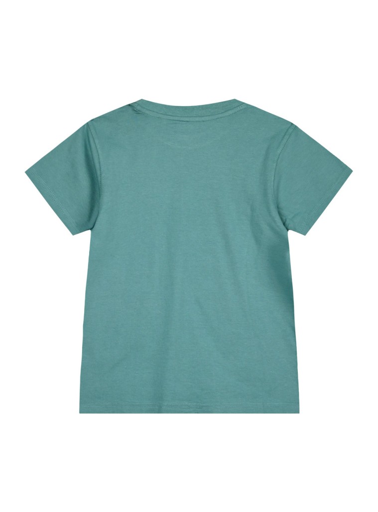 Κοντομάνικη μπλούζα με τύπωμα για αγόρι | ΠΡΑΣΙΝΟ ΤΗΣ ΕΡΗΜΟΥ
