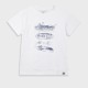 T-shirt with print for boys | ECRU