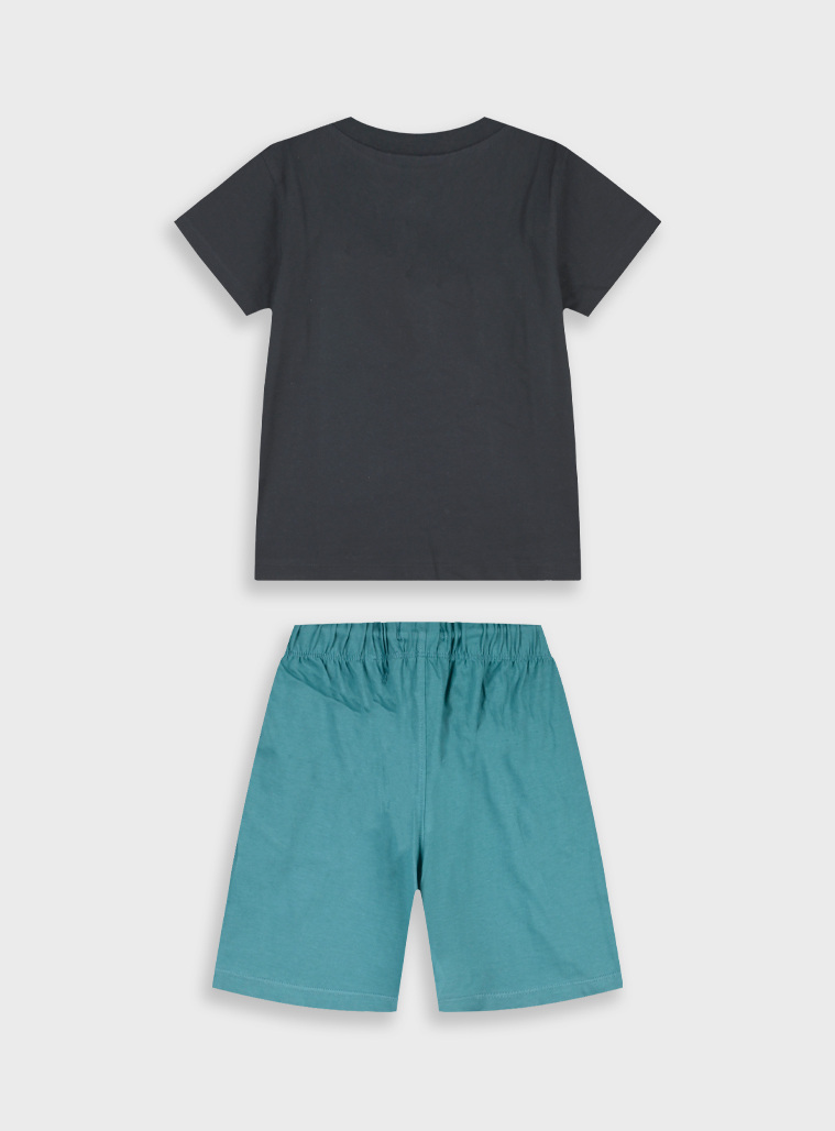 Σετ με τύπωμα | ΠΡΑΣΙΝΟ ΤΗΣ ΕΡΗΜΟΥ