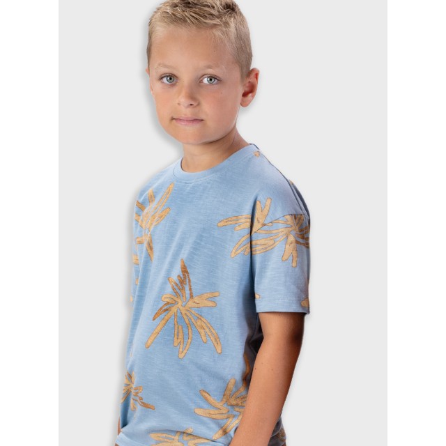 T-shirt | DUSTY CIEL