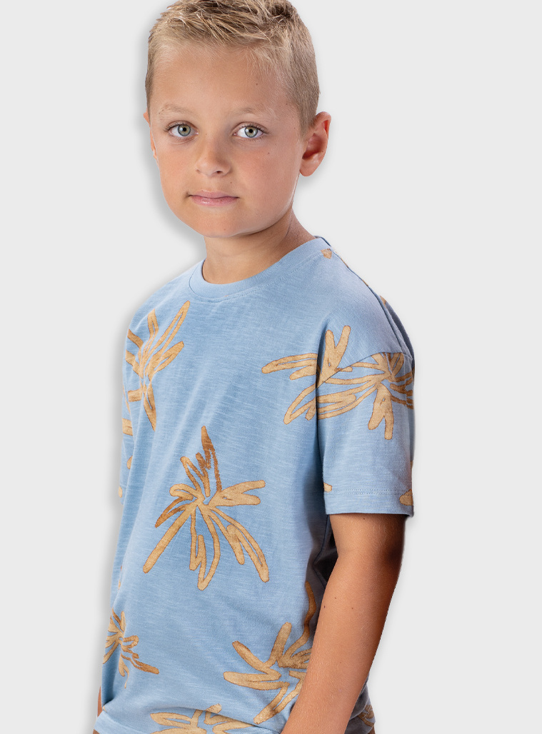 T-shirt | DUSTY CIEL