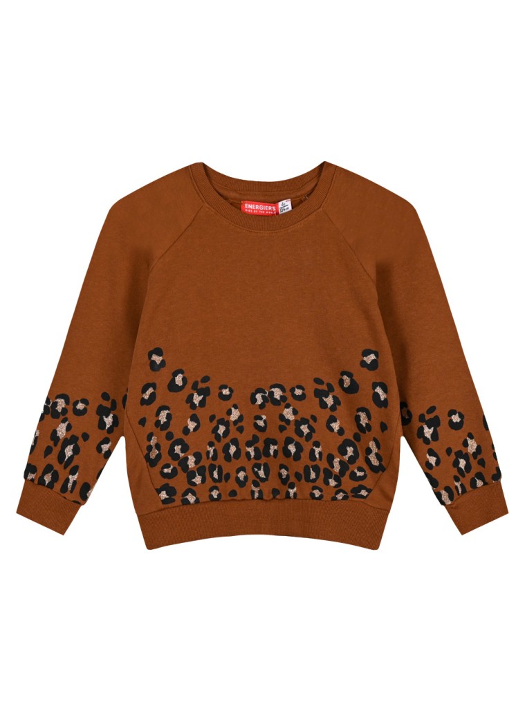 Μπλούζα ρεγκλάν φούτερ με animal print λεοπάρ για κορίτσι | ΜΠΡΟΝΖΕ Μπλούζα ρεγκλάν φούτερ με animal print λεοπάρ για κορίτσι | ΜΠΡΟΝΖΕ