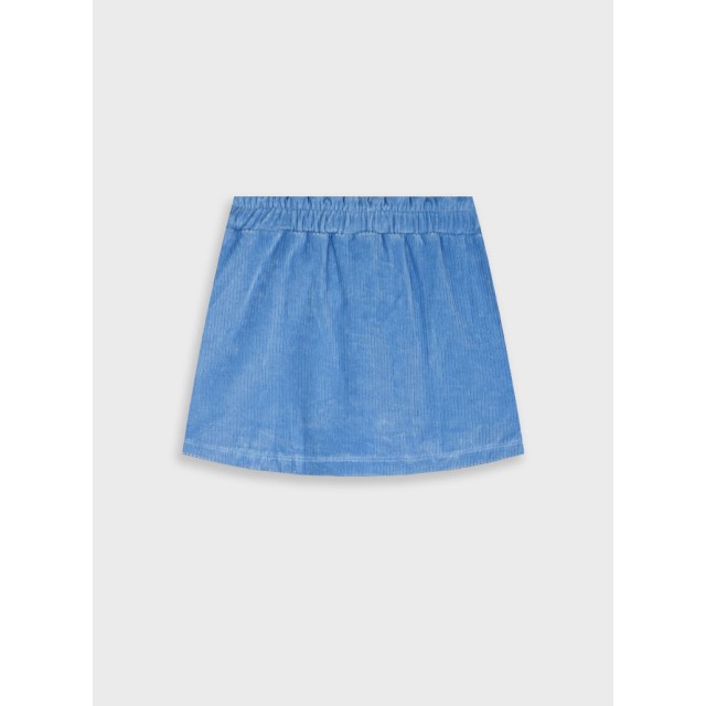 Corduroy skirt | RAF