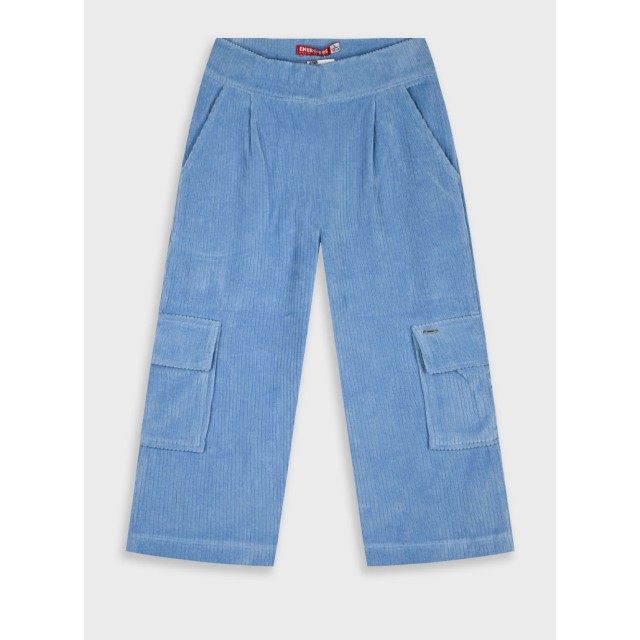 Corduroy wide leg pants | RAF