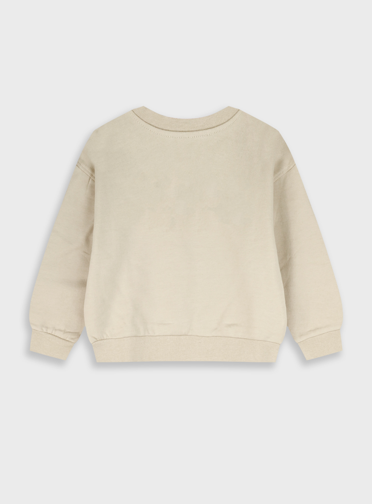 Sweatshirt | VANILLA