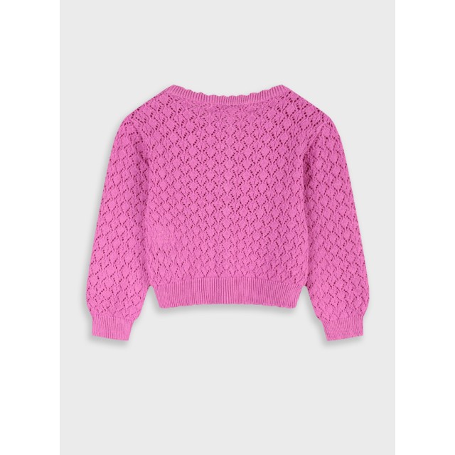 Cardigan | Prugna zuccherina