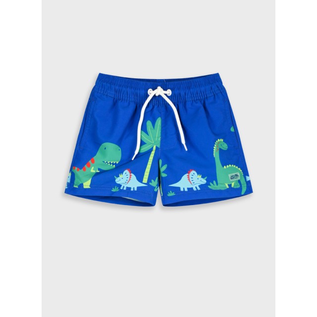 Swim trunks | BLUE