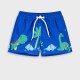 Swim trunks | BLUE