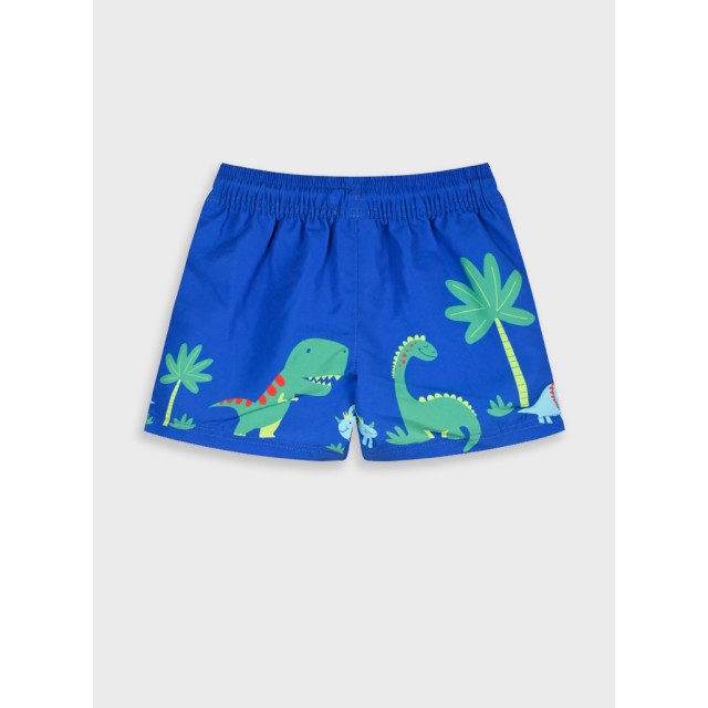 Swim trunks | Blu