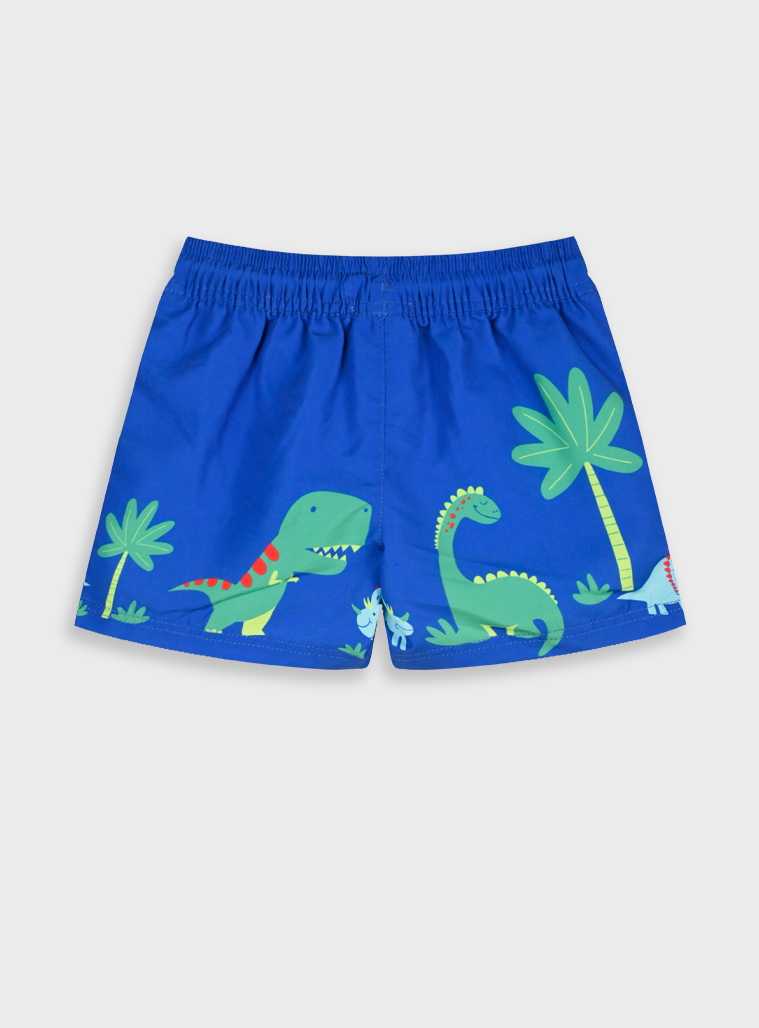 Swim trunks | BLUE