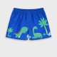Swim trunks | BLUE