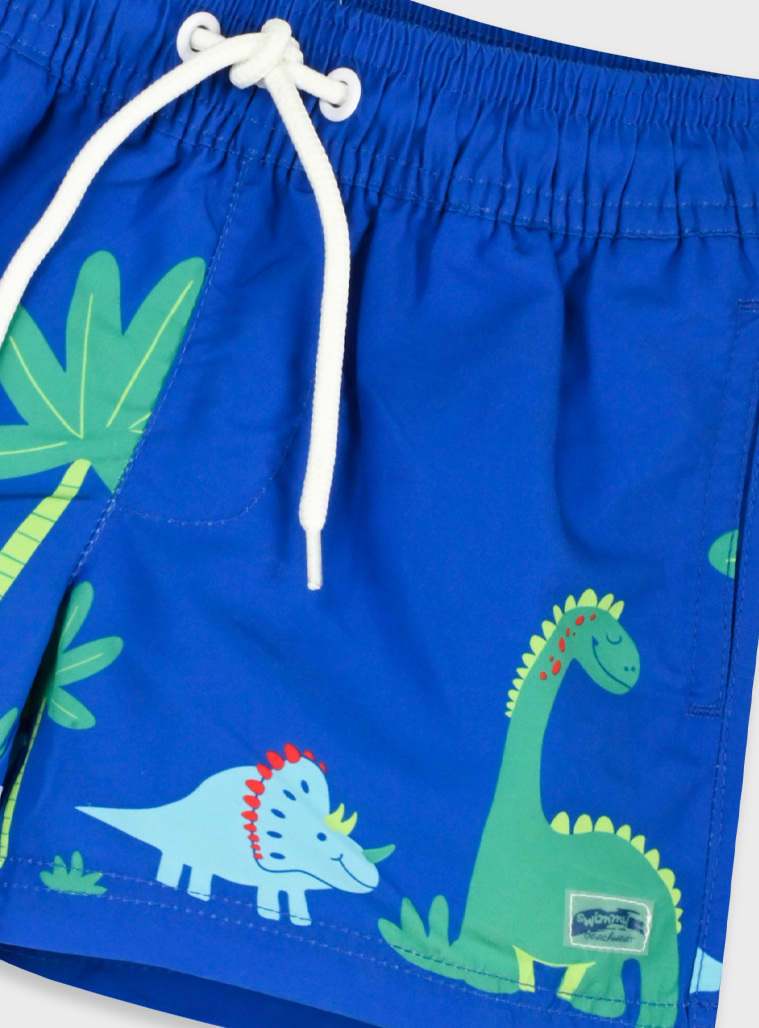 Swim trunks | BLUE