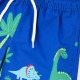 Swim trunks | BLUE