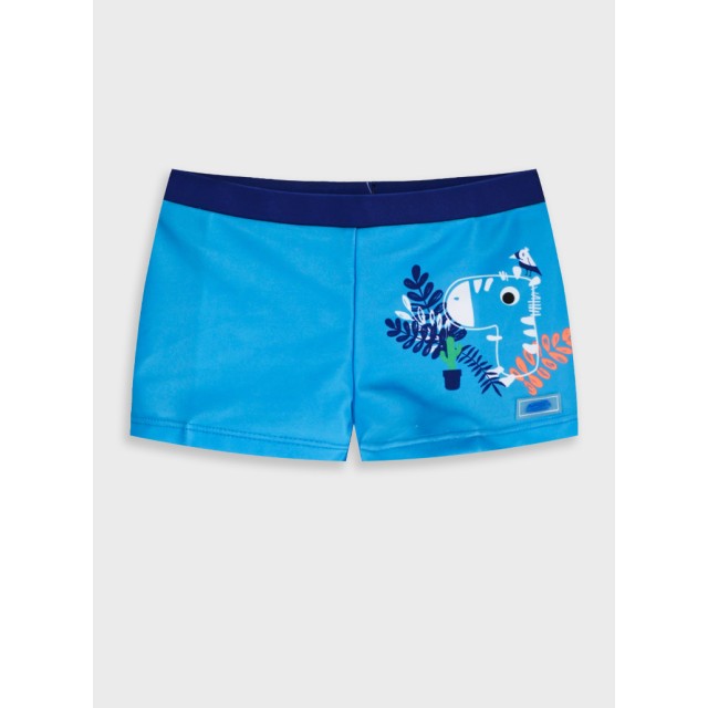 Swim briefs | TURQUOISE