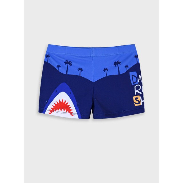 Swim briefs | Blu navy