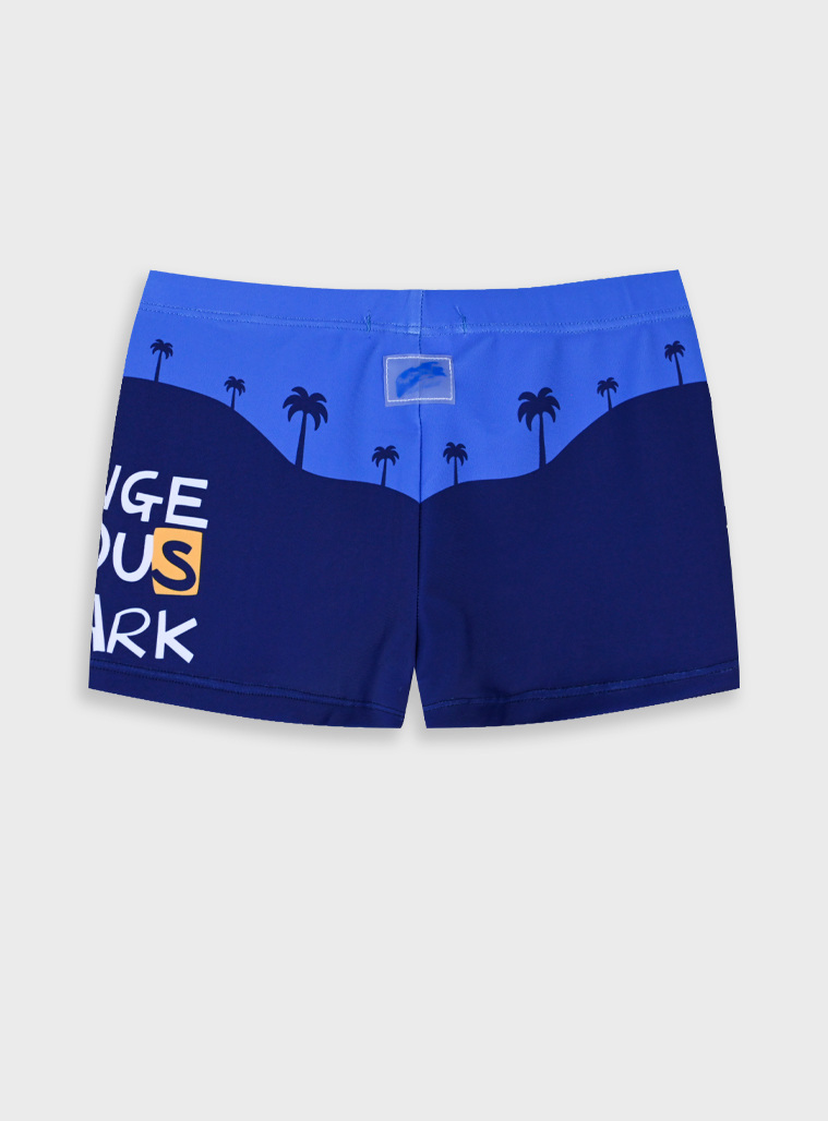Swim briefs | Blu navy
