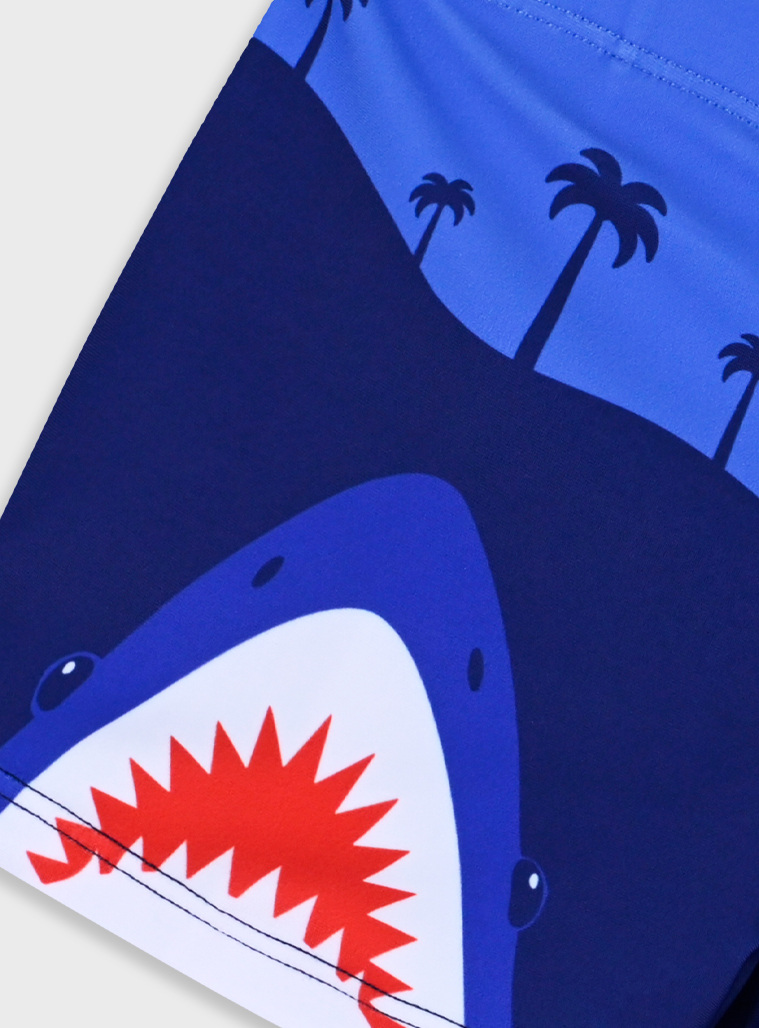 Swim briefs | Blu navy