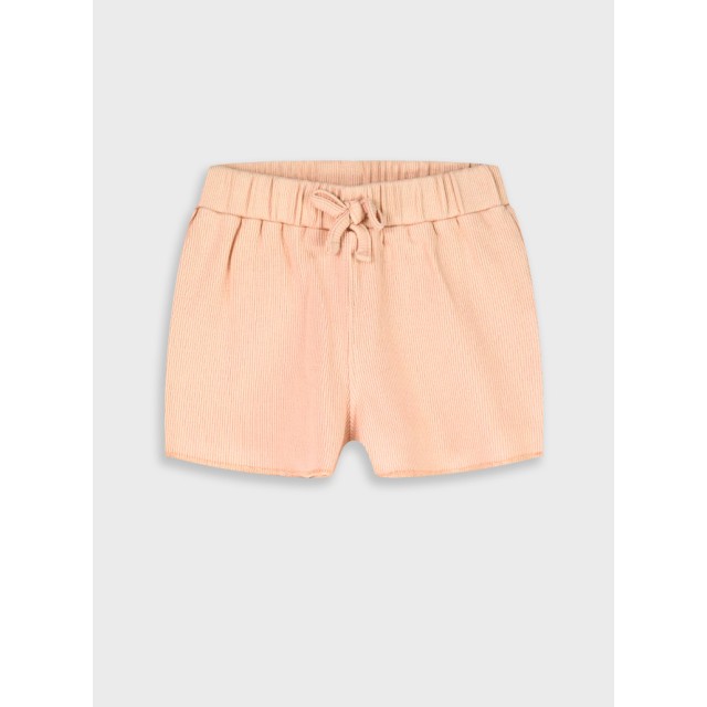 Shorts | SALMON
