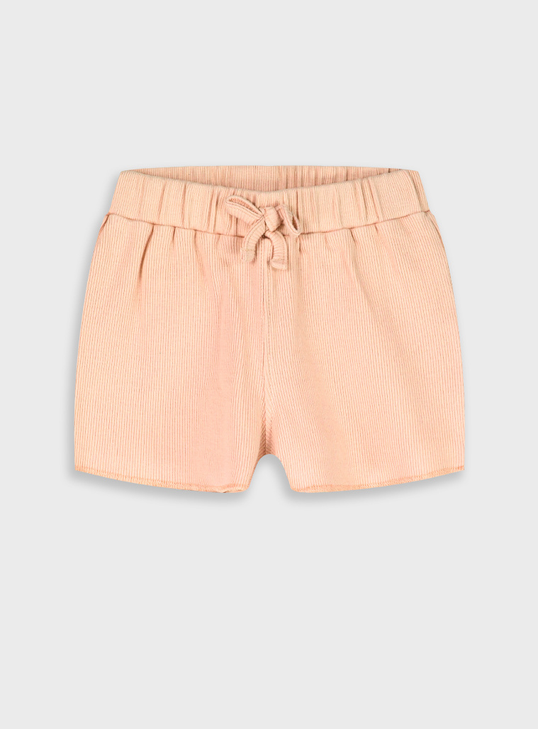 Shorts | SALMON