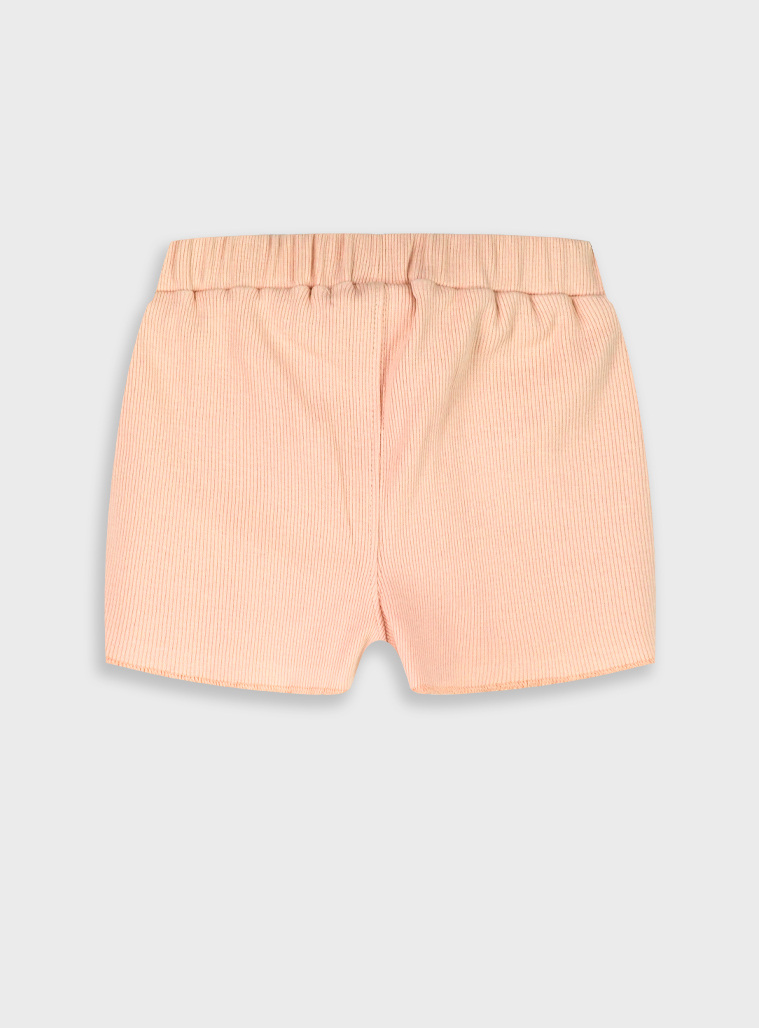 Shorts | SALMON