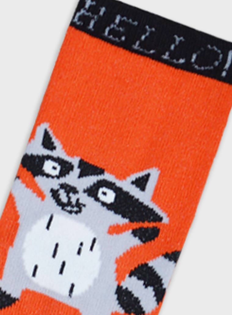 3 pairs of socks | ESTAMPADO ALL OVER