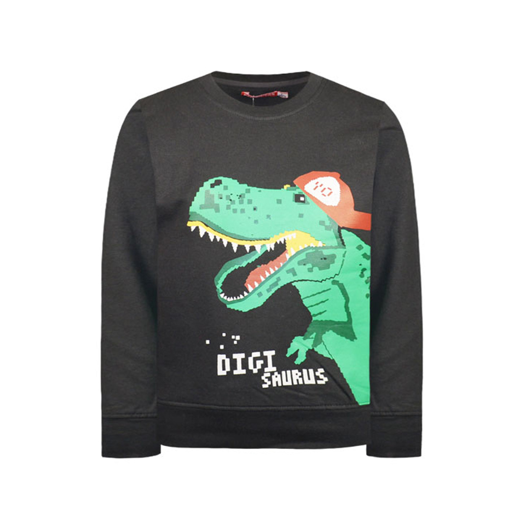 Φούτερ μπλούζα με τύπωμα | ΑΝΘΡΑΚΙ