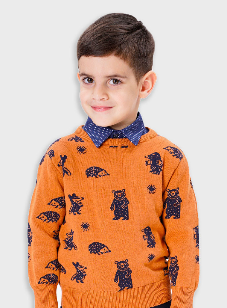 Πλεκτή μπλούζα για αγόρι | ΜΠΡΟΝΖΕ