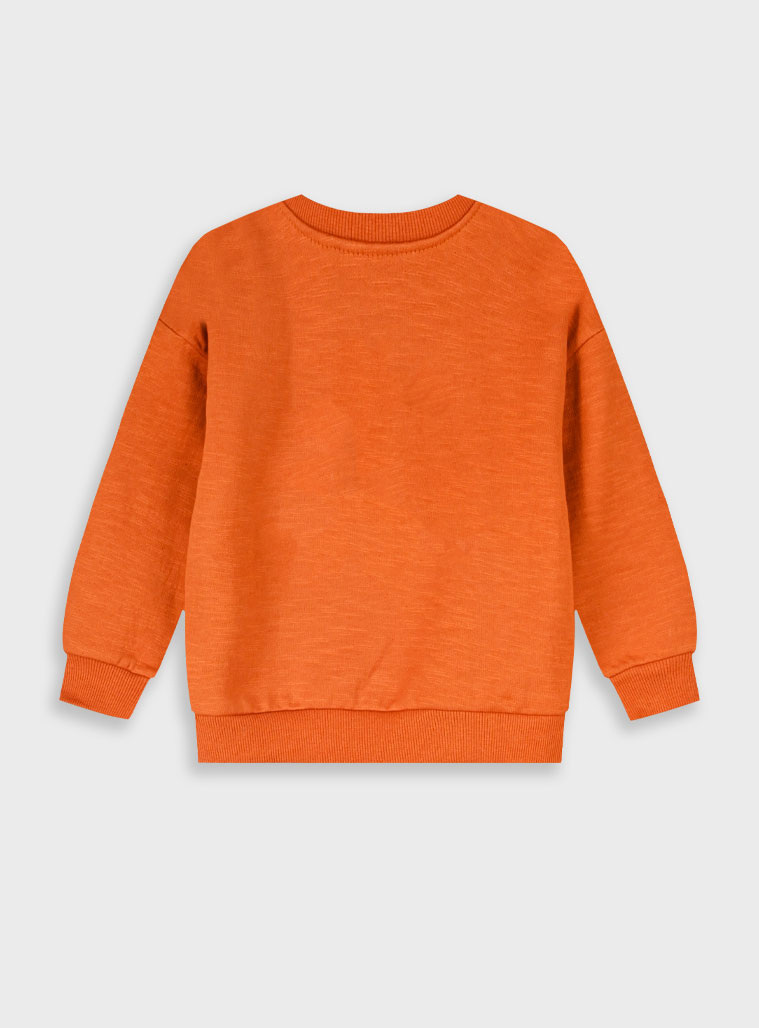 Μπλούζα φούτερ | ΜΠΡΟΝΖΕ φωτογραφία