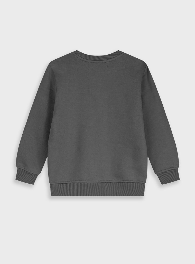 Μπλούζα φούτερ | ΑΝΘΡΑΚΙ φωτογραφία