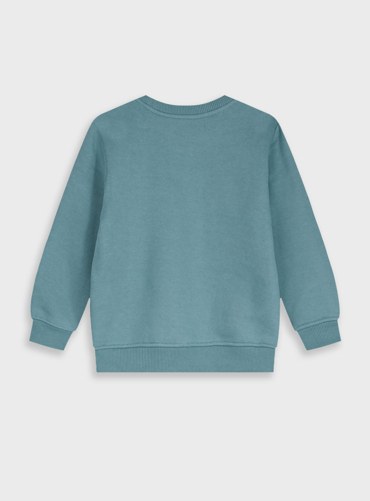 Μπλούζα φούτερ | ΦΥΣΤΙΚΙ φωτογραφία