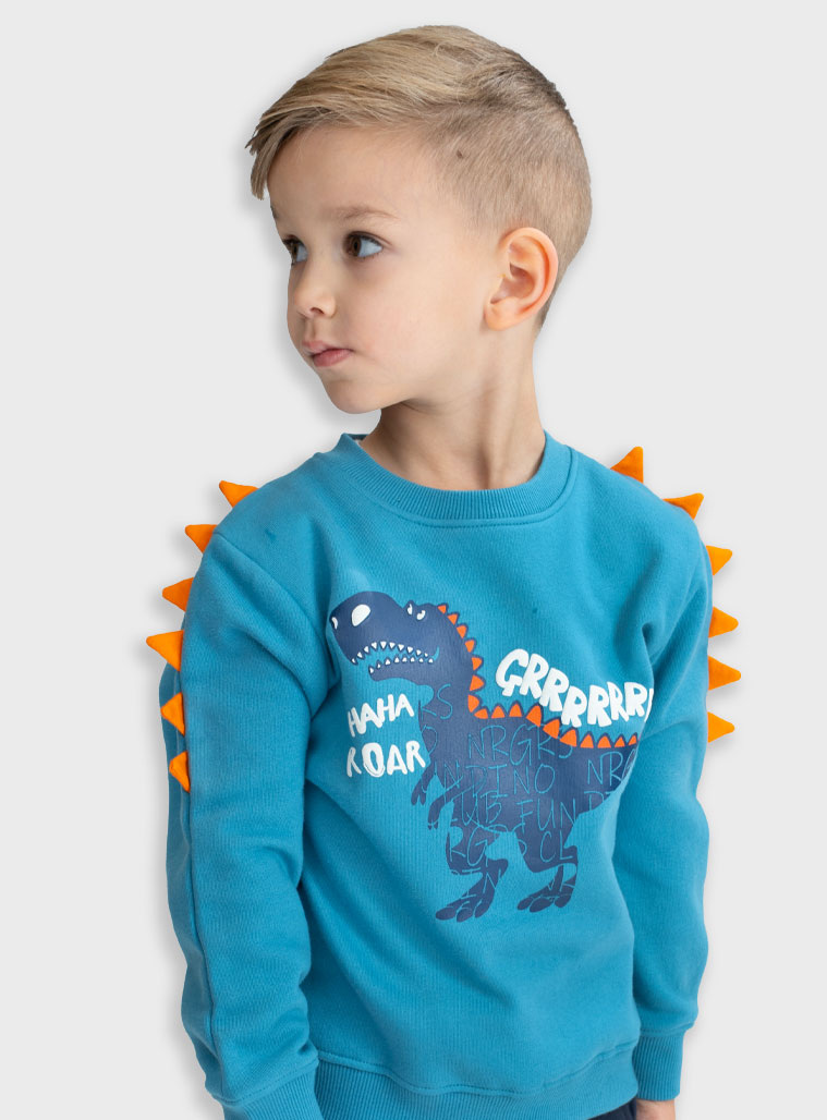 Energiers - ΣΗΜΑΝΤΙΚΟ: Σε περίπτωση διαφοράς τιμής από το κατάστημα ισχύει παντα και μόνο η τιμή του καταστήματος Μπλούζα φούτερ | ΑΚΟΥΑ