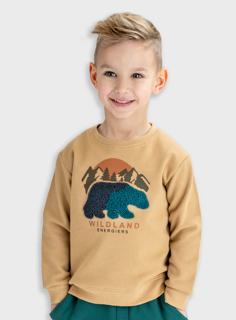 Energiers - ΣΗΜΑΝΤΙΚΟ: Σε περίπτωση διαφοράς τιμής από το κατάστημα ισχύει παντα και μόνο η τιμή του καταστήματος Μπλούζα φούτερ | ΜΠΕΖ